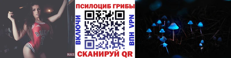 Галлюциногенные грибы мицелий  закладка  Дагестанские Огни 