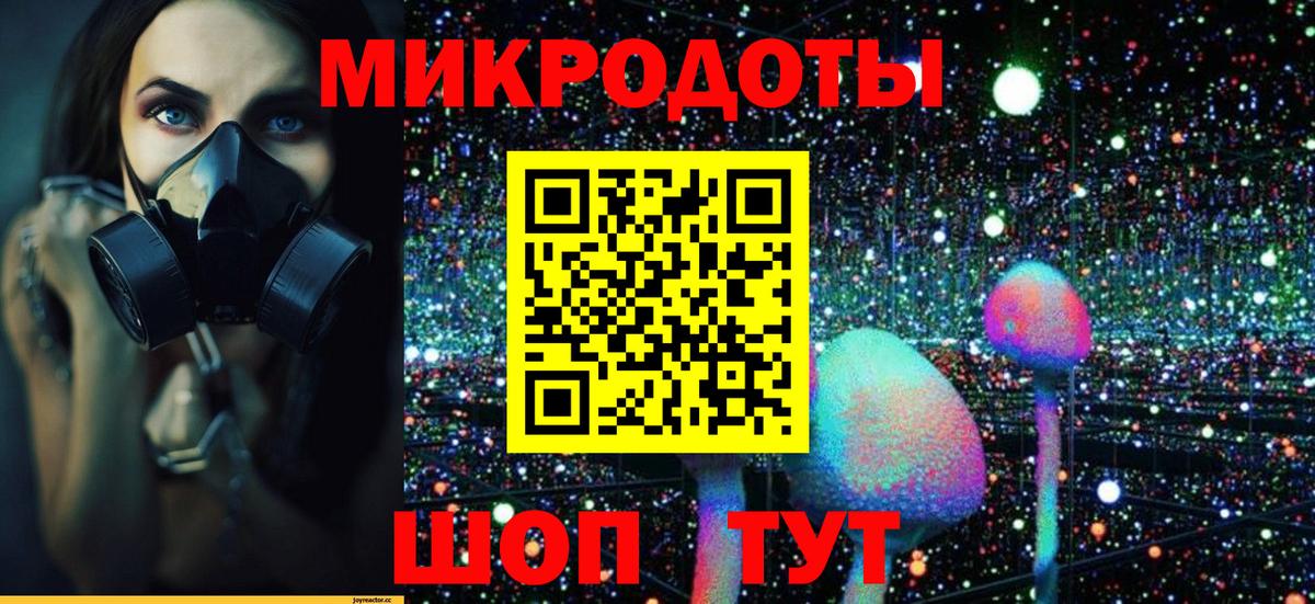 Галлюциногенные грибы Cubensis Дагестанские Огни