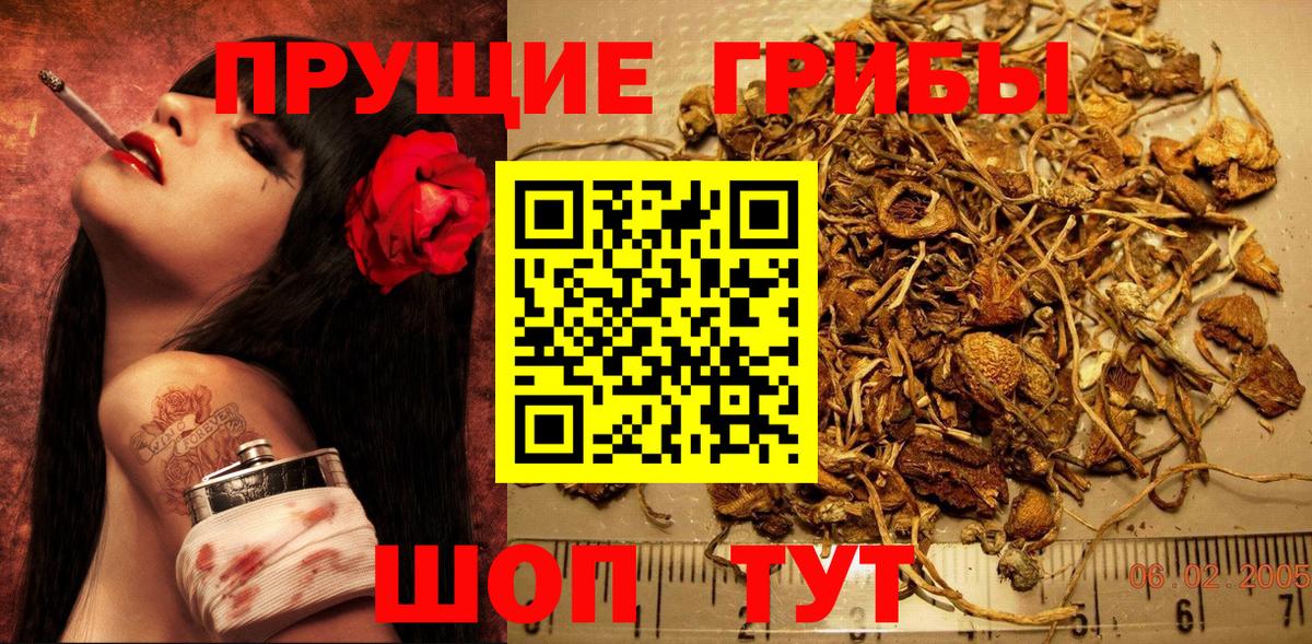 Галлюциногенные грибы мицелий  Вход с VPN  купить наркоту  Галлюциногенные грибы ЛСД  Дагестанские Огни 