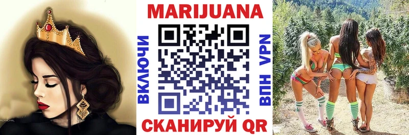 Конопля планчик  Дагестанские Огни 
